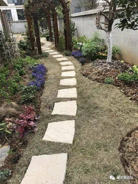 造园 | 满满造园经验干货!姜南紫的花园实验(四