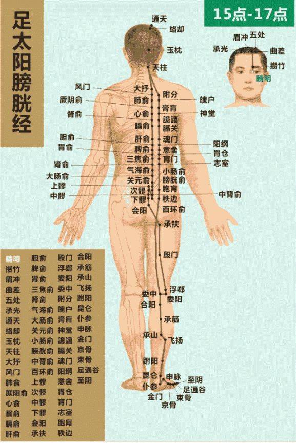 十二时辰经络动态走向图,养生必看!建议收藏!