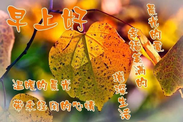 夏天早上好好图片 早晨好问候语表情大图