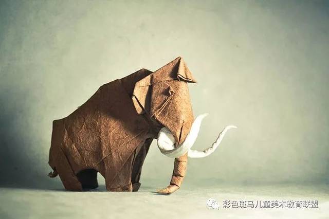 长毛象丨artur biernacki