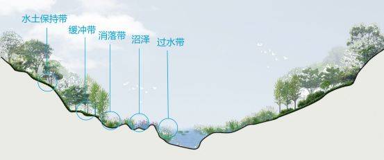 不断生长的城市湿地公园 —— 彩云湖国家湿地公园十年大成