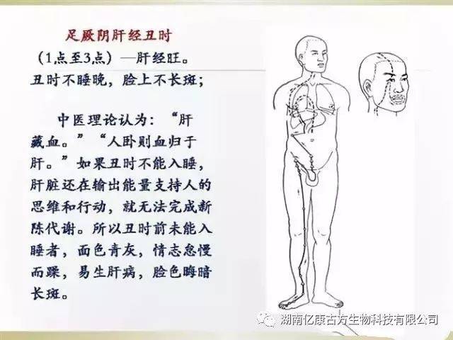 人体十二大经络361个穴位讲解及功效