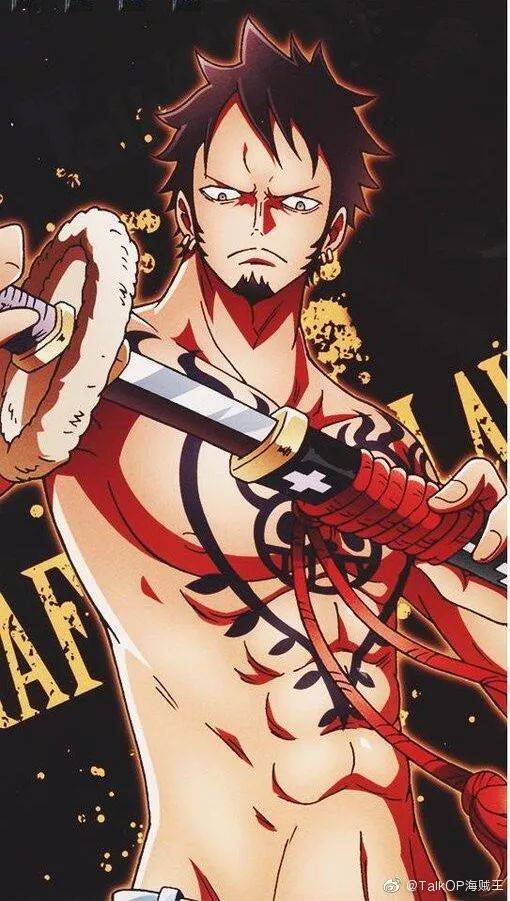 海贼王男神肉体系列清晰图(路飞,索隆,山治,罗,艾斯,萨波)