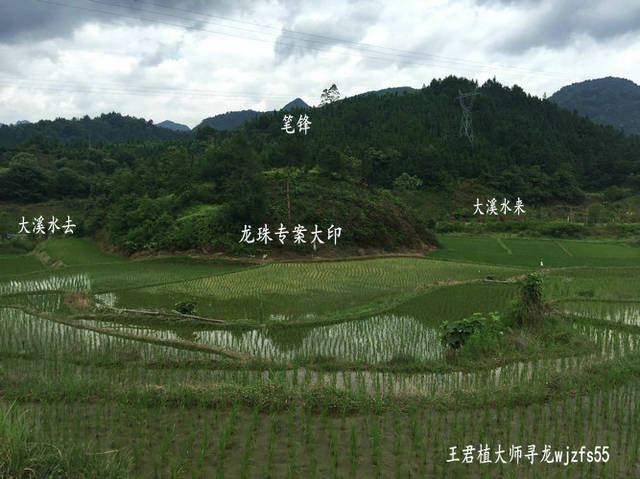 墓地风水:贵州百年风水福地龙吐珠穴,风水大师王君植在黔南看风水实拍