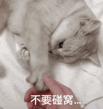 新一波斗图表情包来了