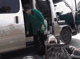 搞笑gif:现在这样的妹子少了,我就佩服你!_手机搜狐网