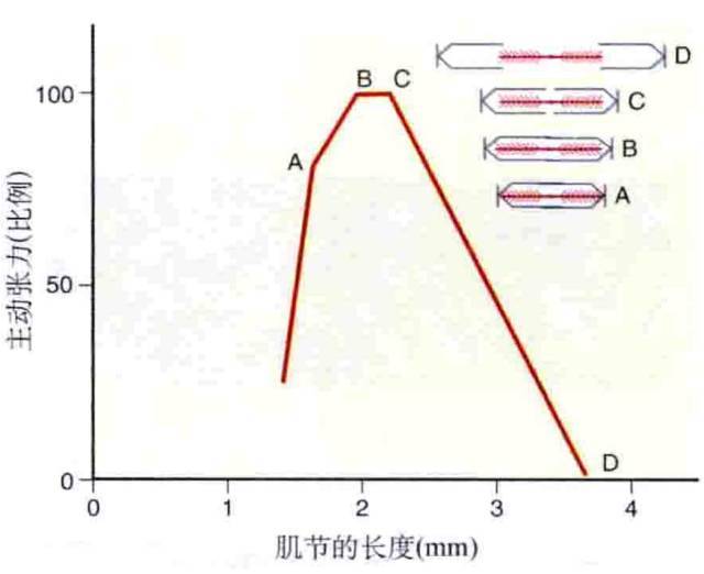 【康复知识】分得清肌力与肌张力么?