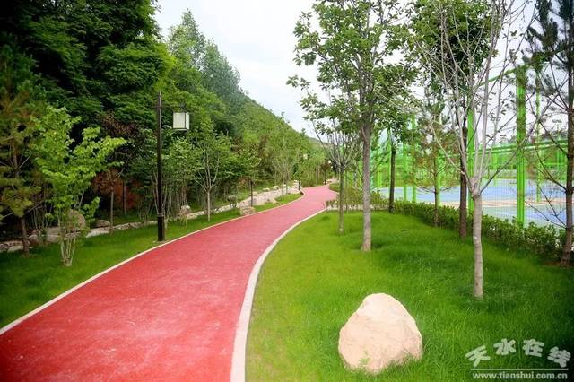 清水县全民健身公园建设项目稳步推进
