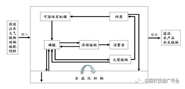 产量还奇高!这套生态循环