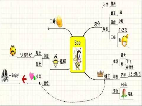 思维导图作文