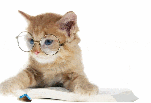 猫摆动两只耳朵,一听到声响就会将耳朵朝向那个方向去搜寻声源