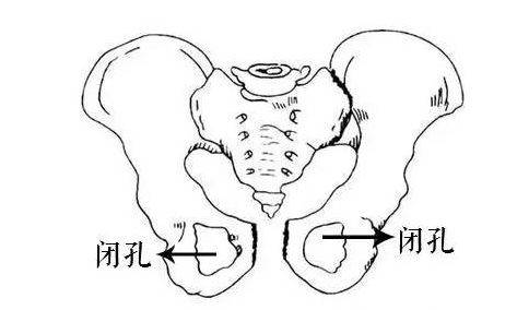 3个方法,秒治长短腿