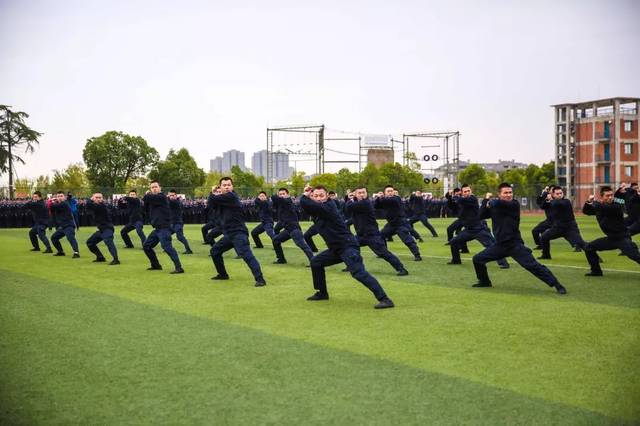 安徽公安职业学院录取结果已出,上警校到底怎么样?