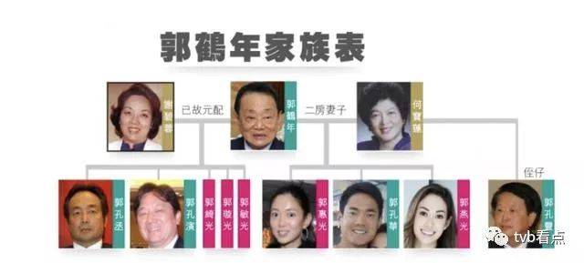 大马首富郭鹤年95岁高龄仍未退,二房幼子有望接班