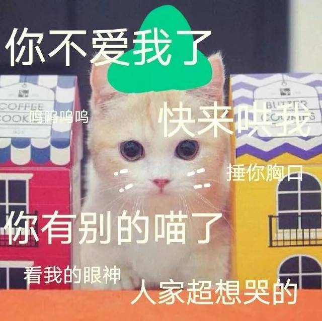 摇椅闲谈丨棒棒糖的恋爱-我的零花钱都给你买不二家