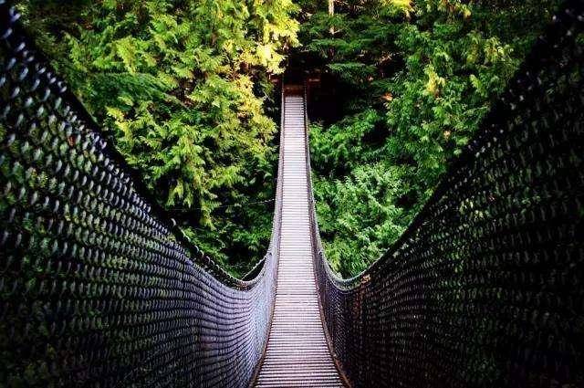 想用科学去套路喜欢的人?吊桥效应来帮你