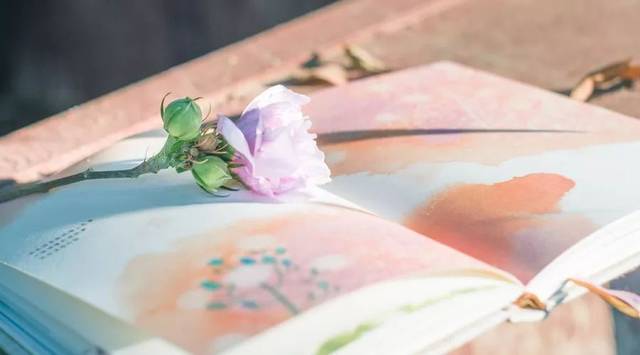 让男人忘不了的图片