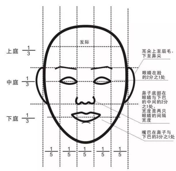 绘画中的头部怎么画?超详细教你如何正确绘画头部技巧