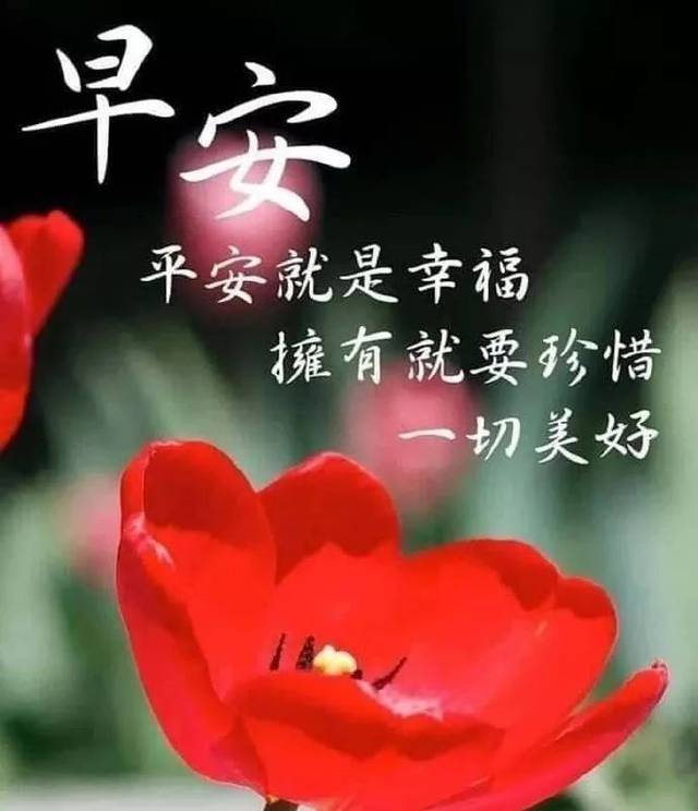 暖心的早上好问候祝福语动态图片,最美早上好祝福语短信