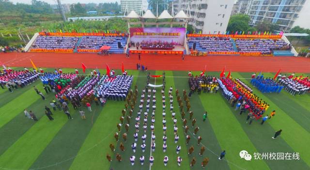 各县,区教育局,市直各中学:经市人民政府同意,现将我市2019年普通高中