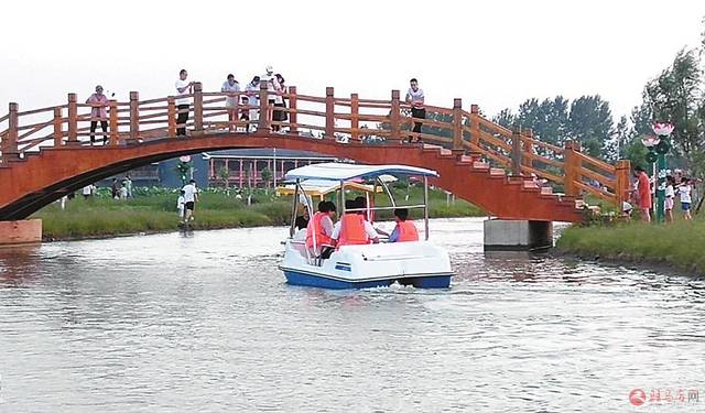 河南平舆:乡村景色醉游人