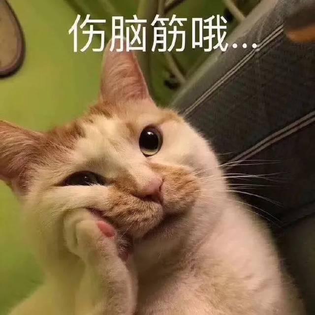 来自小学生的蔑视,are you 沙雕?