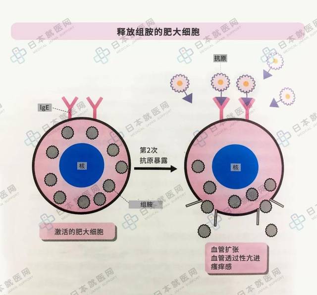 搜狐网