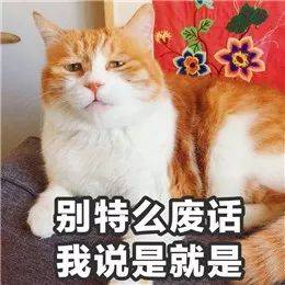 据说给女朋友发这些表情包的人,当天就住院了哈哈哈!