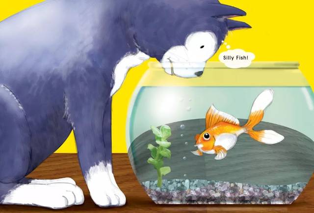 睡前故事 | cat and fish 猫和鱼