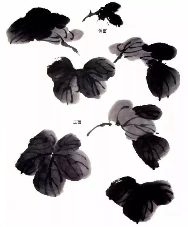 写意丝瓜,叶子,藤蔓,花瓣的画法,点赞收藏