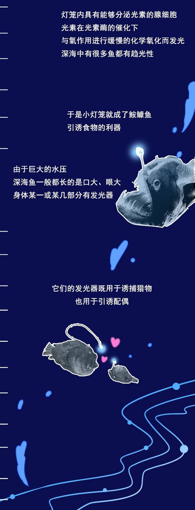 带你潜入海底一万米!如果手机掉进海里,它会一