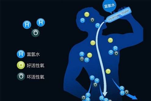 云川:水润美人,健康生活 从富氢水开始_手机搜狐网