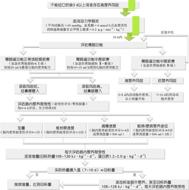 图1,重症患者营养支持流程图