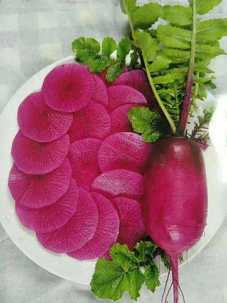 紫微星水果萝卜种子 进口紫红色萝卜品种