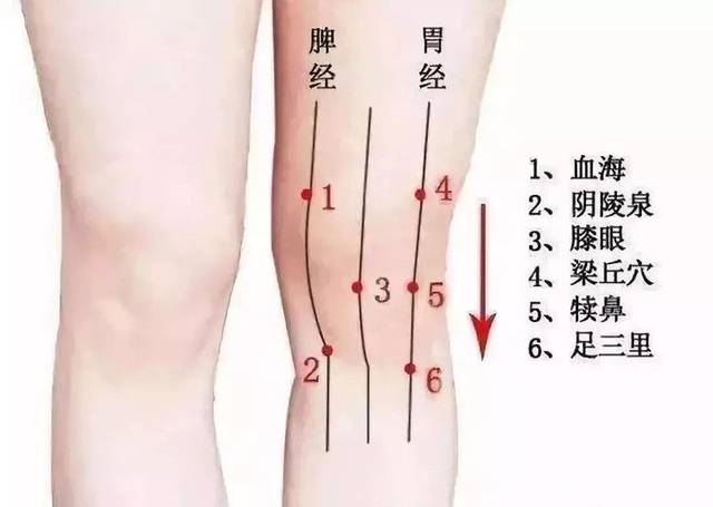 阴陵泉,梁丘穴 犊鼻,足三里 膝盖有问题  影响下肢的经络疏通 膝盖