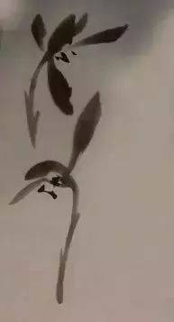 【国画知识】兰花的写意画法步骤图解,6个要点,学会一