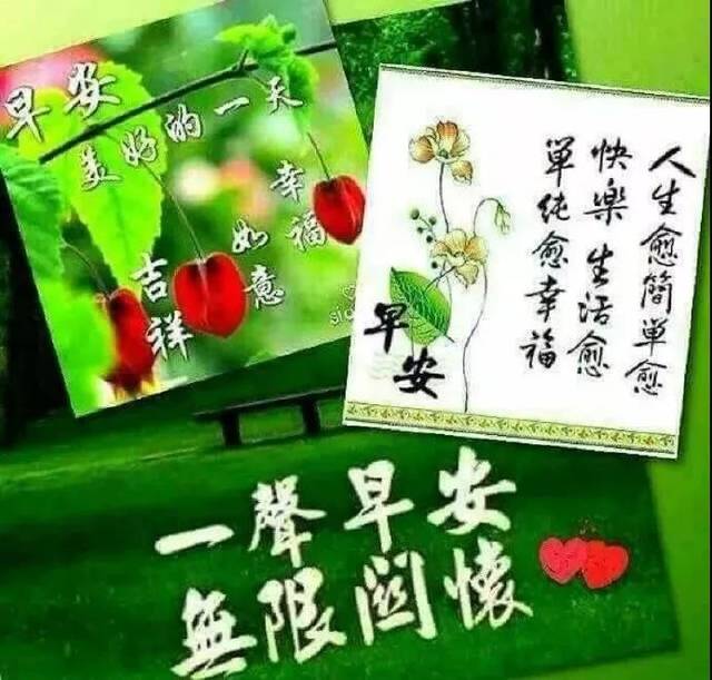 7月24日星期三朋友早上好问候语图片 早上好祝福语温馨表情包