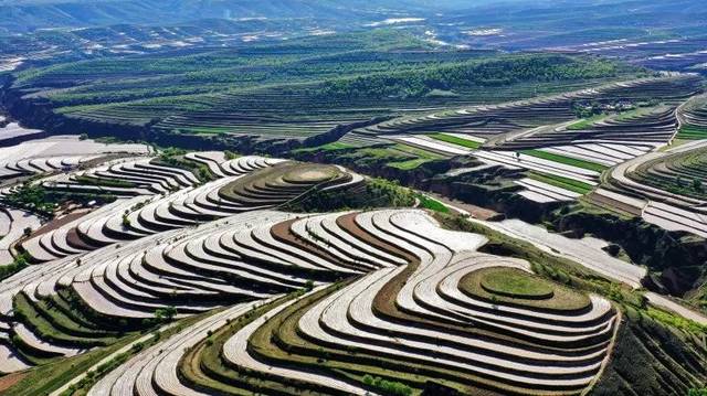 固原梯田固原花儿固原美丽周末盛开