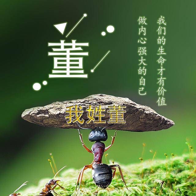 你该换头像了,12款蚂蚁励志姓氏签名壁纸,助力你的梦想