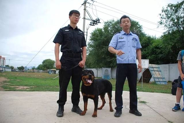 警犬基地的小画家:今日,补画表敬仰!