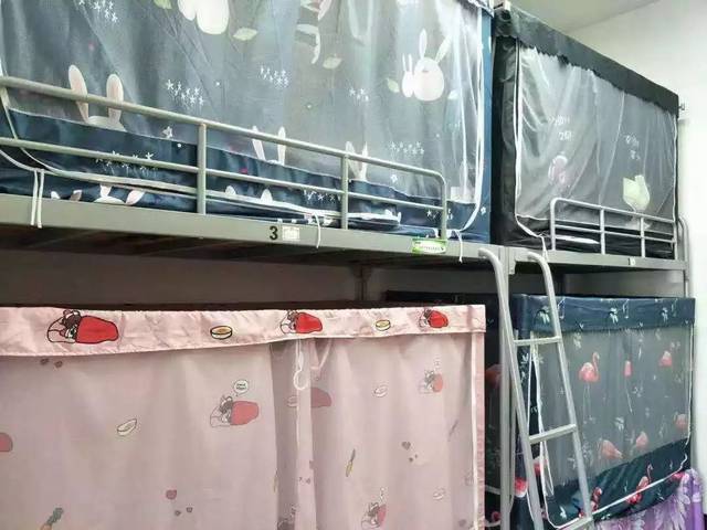 "魔仙堡"最全攻略,带你解锁浙传宿舍!
