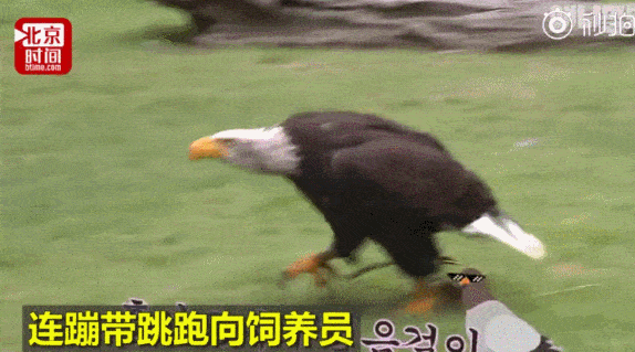 574_319gif 动态图 动图