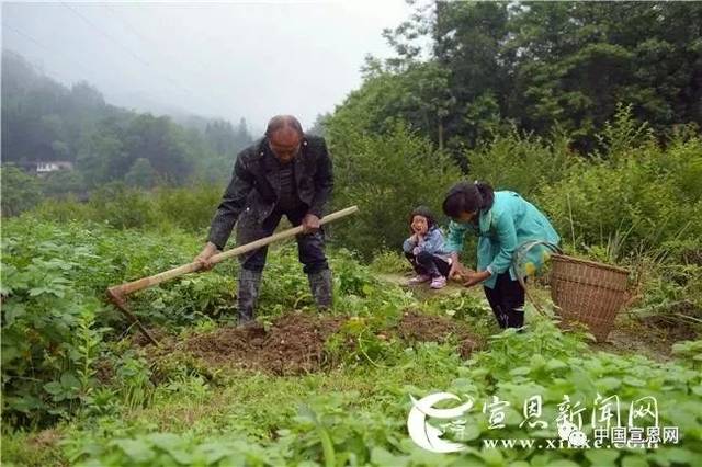 央视又来恩施了!他们拍了十多天,这次是为了寻找