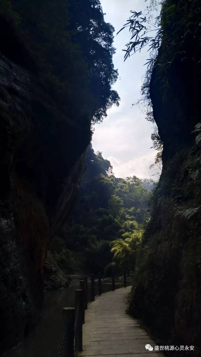 【旅游】景区活动:毕业旅行季,免票畅游永安桃源洞-鳞