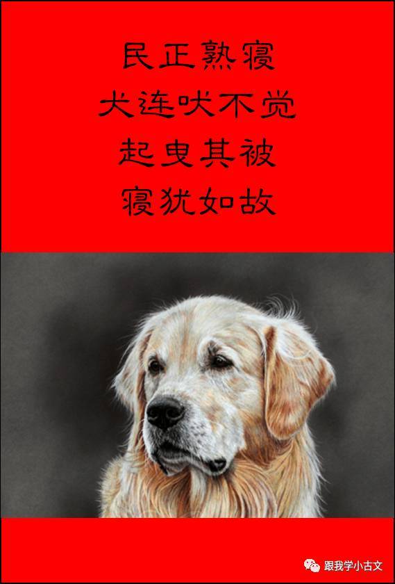 小古文诵读|义犬救主(100-44)_手机搜狐网