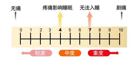 面部表情疼痛评分量表法