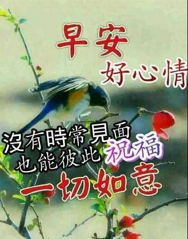 七月二十五日星期四早晨好祝福语 早晨好问候语图片大全