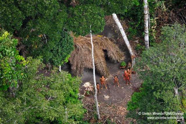 原创亚马逊雨林中的原始人-阿瓦部落是怎么回事?从未接触过外人?