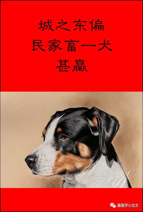 小古文诵读|义犬救主(100-44)_手机搜狐网