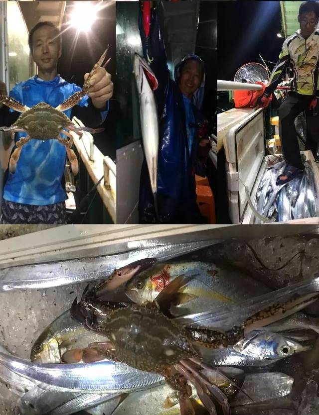 浙江舟山嵊泗海礁珍稀带鱼船钓之旅—报名很火爆,还少一个你!